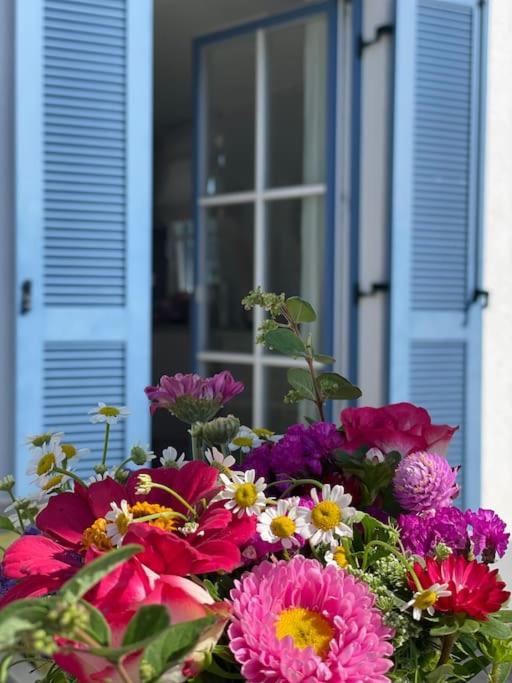 Reetdachhaus Seasons Mit Kamin & Sauna Groß Schwansee Εξωτερικό φωτογραφία